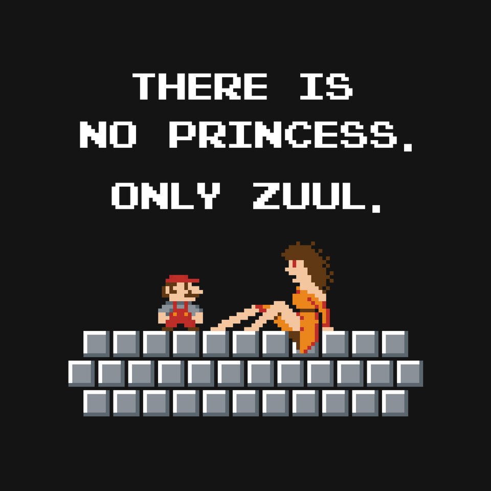 There Is No Princess