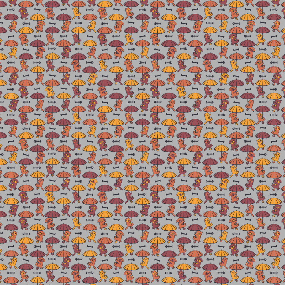 It's Raining Cats And Dogs