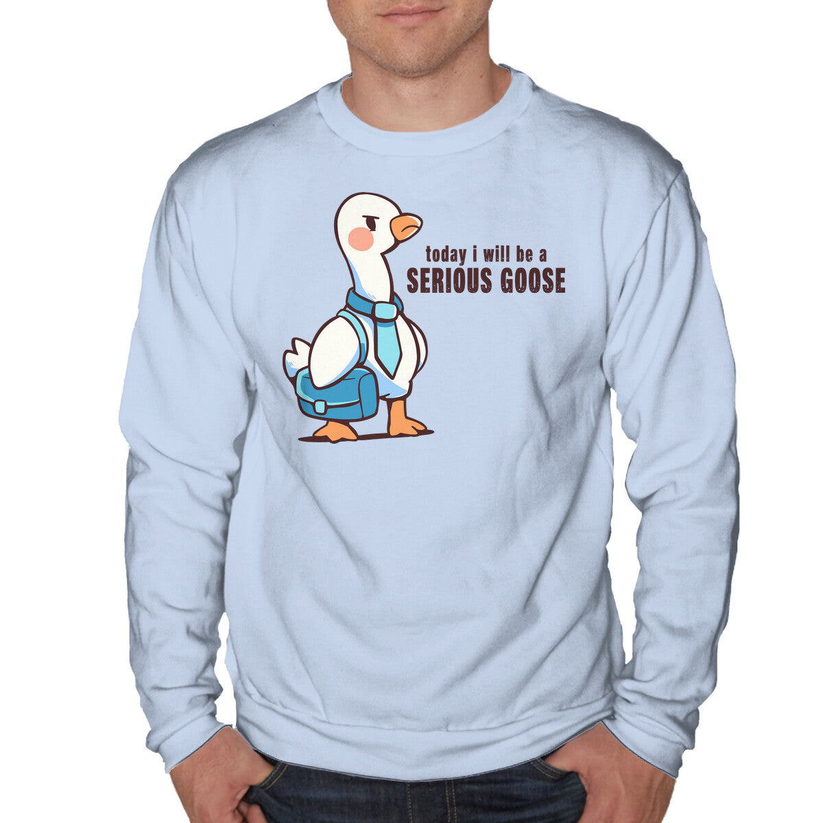 Today I Will Be A Serious Goose