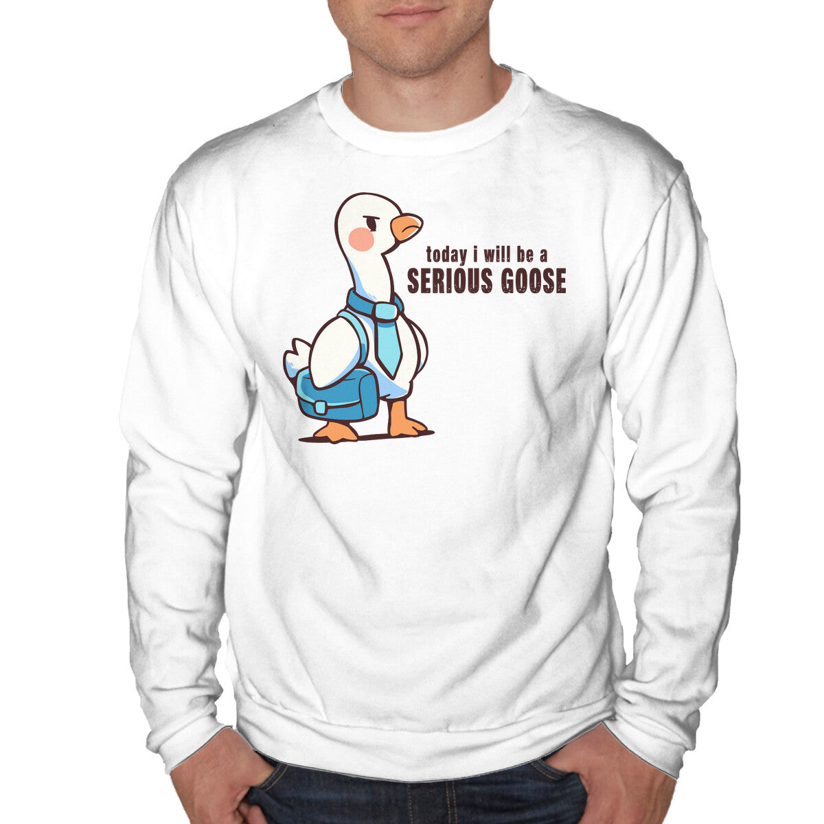 Today I Will Be A Serious Goose